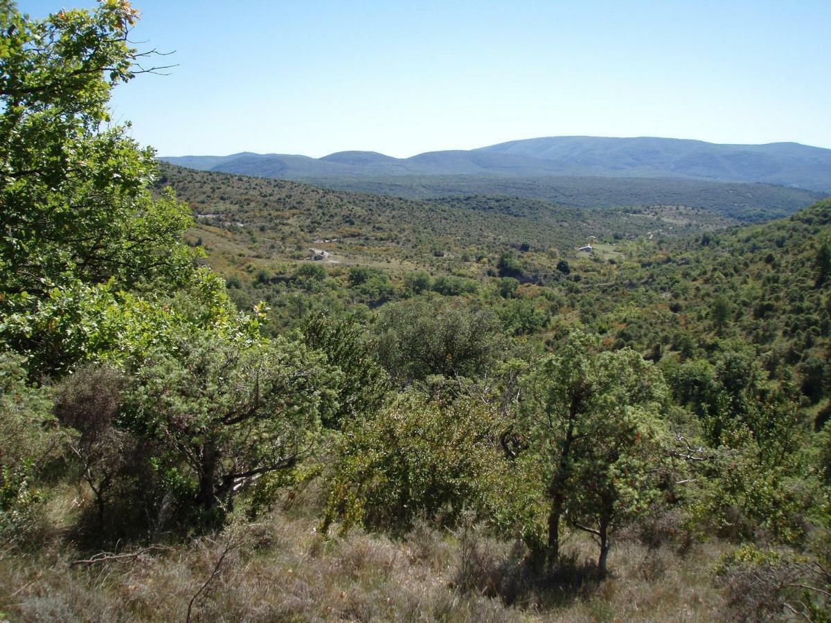 Lespine-10 Min Caverne Pont D'arc Lagorce (Ardeche)